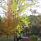 Farrington Road, October 2006
