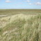 Overview eastern salt marsh at Spiekeroog