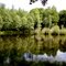Waldsee