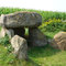 Steinahlkenheide Steingrab