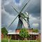 Blick über die Weide auf die Windmühle Selsingen.