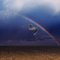 Eine  Möwe unterm Regenbogen. Kurz vor Amrum.
