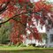 Autumn Dundee New York