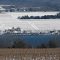 On both sides of Lake Seneca grape vines - Finger Lakes wine country