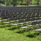 Chairs on Tappan Square: Waiting for the graduation ceremony