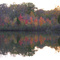 View Across Pond - Oberlin