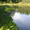 Pond