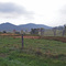 Farm near Fort Hill Memorial
