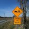 Share the Road