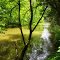 Highlands Nature Sanctuary, Arc of Appalachia