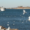 Lake Hefner_Dec25-2007-pic074