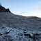 clearcut on Lane Mountain