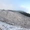clearcut near Buck Peak