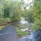 East Branch from County Line