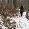 Pocono Manor Horse Trails