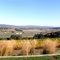 penner ash winery