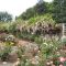 Heirloom Rose Gardens