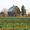 Dayton, Oregon, USA