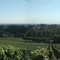 Archery Summit Winery