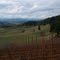 West from Lenne
