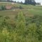 Domaine Drouhin from Red Hills Farm