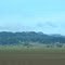 Near McMinnville, OR