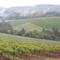 Bella Vida Winery