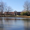 Ducks and Pond at PC