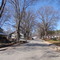 Pine Street Lydia