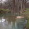 river bend behind Meyer B&B, Comfort, TX