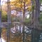 Autumn Reflections