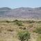 Ritchie Ranch