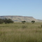 Off the ranch road
