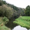 Creek on The Entrance to White Pines,Oregon
