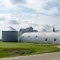 Polo Seed Company