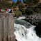 Watching Salmon jump at Klickitat River fishladder/waterfall