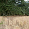Pillbox S00005747
