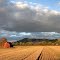 Meon Hill, Mickleton