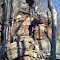 Keen Mountain Rock Outcrop