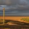 Theddlethorpe Dunes