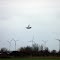 Magpie freefall