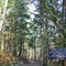 Sign on Wallace Falls Trail