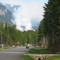 Forest Fire