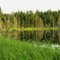 Boundary Lake, Hancock Tree Farm, King County, Washington