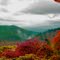 Fall Color