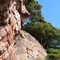 Welcome to... Hawkstone Park follies - cliff & trees 3