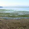 Fleet Lagoon Morning
