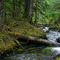 Fish Creek