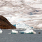 The Mendenhall Glacier Juneau