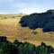 Dorset countryside in August